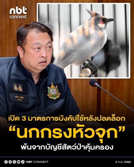 สุชาติ&rdquo; ย้ำ 3 มาตรการบังคับใช้หลังปลดล็อก "นกปรอดหัวโขน" หรือ &ldquo;นกกรงหัวจุก&rdquo; พ้นจากบัญชีสัตว์ป่าคุ้มครอง สามารถเพาะเลี้ยงได้ถูกกฎหมาย ควบคู่ปกป้องประชากรนกในธรรมชาติไม่ให้ถูกลักลอบจับ